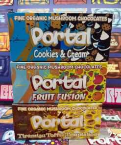portal mushroom chocolate
