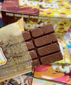 mushroom chocolate
