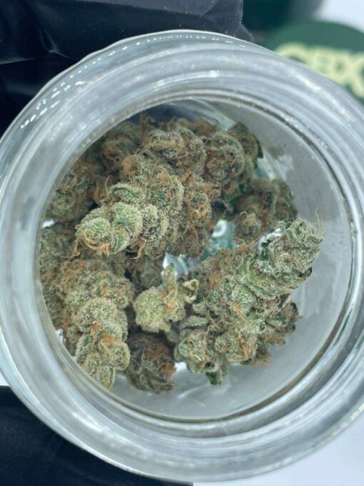 cbx cannabiotix weed