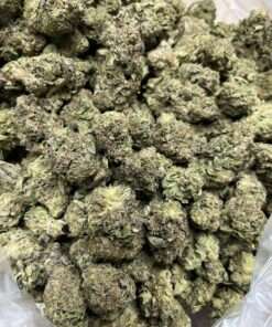 gary payton cannabis flower