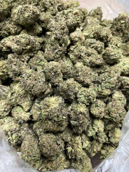 gary payton cannabis flower