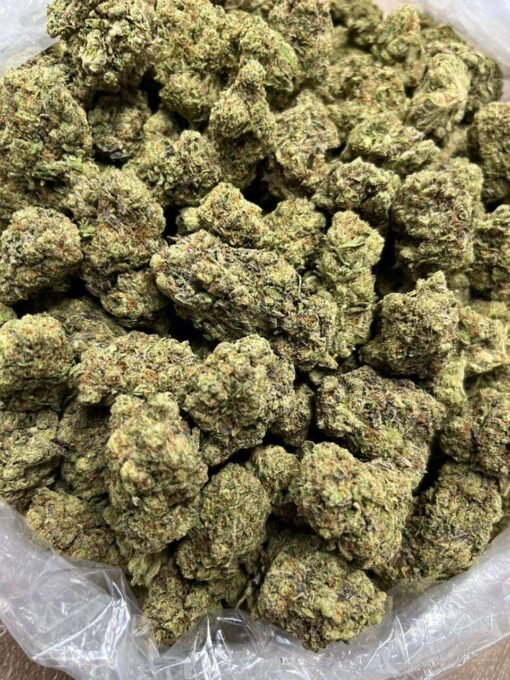 gary payton cannabis flower, cereal milk strain, biscotti strain, apple fritter strain
