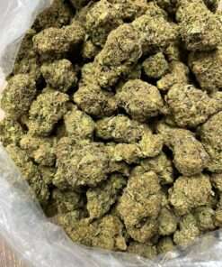 gary payton cannabis flower, cereal milk strain, biscotti strain, apple fritter strain