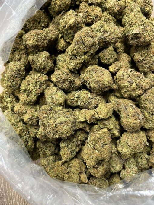 gary payton cannabis flower, cereal milk strain, biscotti strain, apple fritter strain