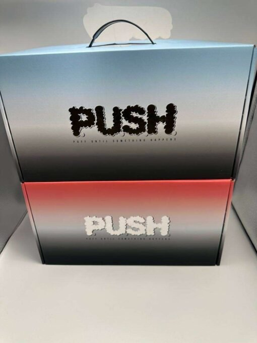 PUSH 2 GRAM DISPOSABLE