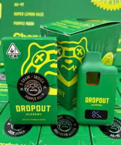dropout academy disposable