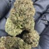 BISCOTTI X OG STRAINS TOP QUALITY