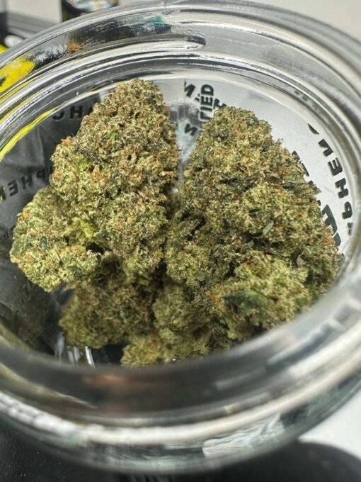 Biscotti X OG