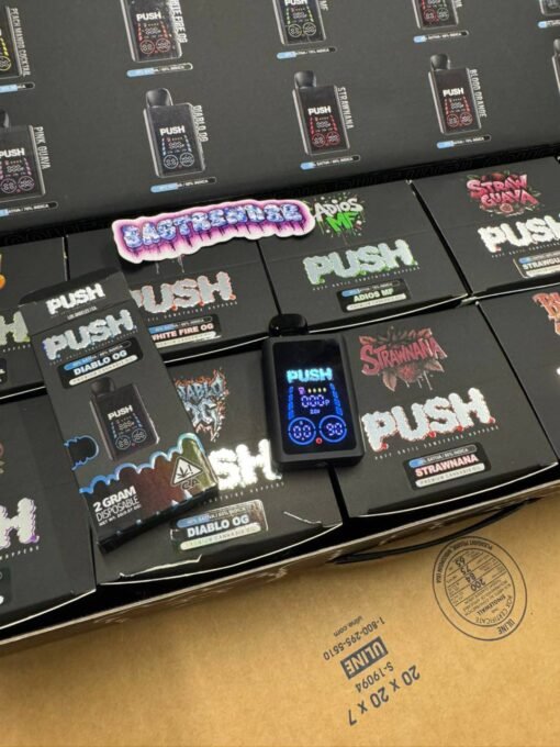NEW PUSH 2 GRAM DISPOSABLE WITH SCREEN