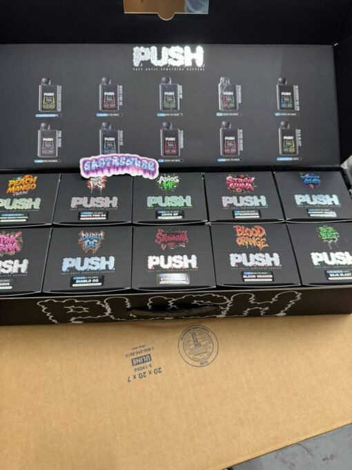 NEW PUSH 2 GRAM DISPOSABLE WITH SCREEN