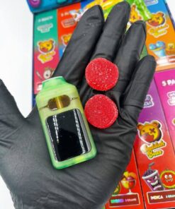 buddah bear disposable