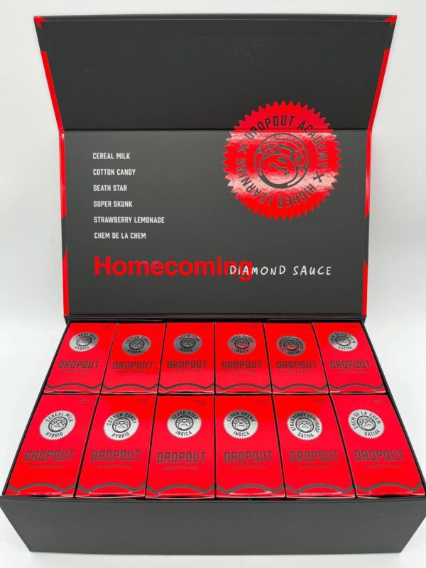 dropout academy disposable