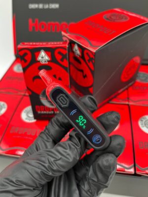 dropout academy disposable