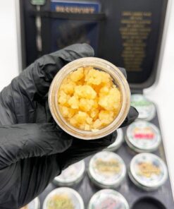 whole melts passport edition