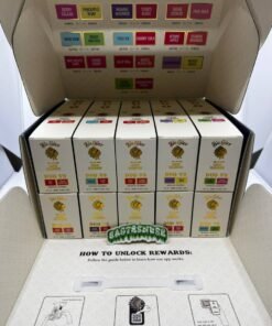 big chief duo v3 disposable