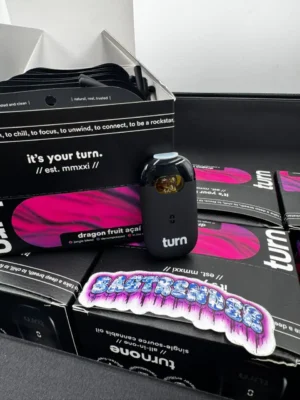 new turn disposable